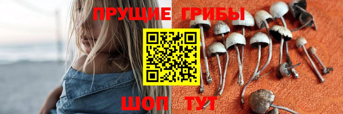 Кстово  Псилоцибиновые грибы GOLDEN TEACHER  Вход с VPN 